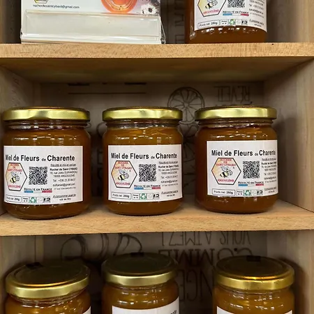 Ibis Angouleme Nord מלון