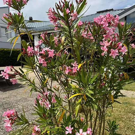 Hotel Ibis Angoulême Nord